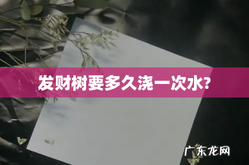 发财树要多久浇一次水?