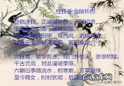 王安石笔下的《桂枝香》,为何评价极高?