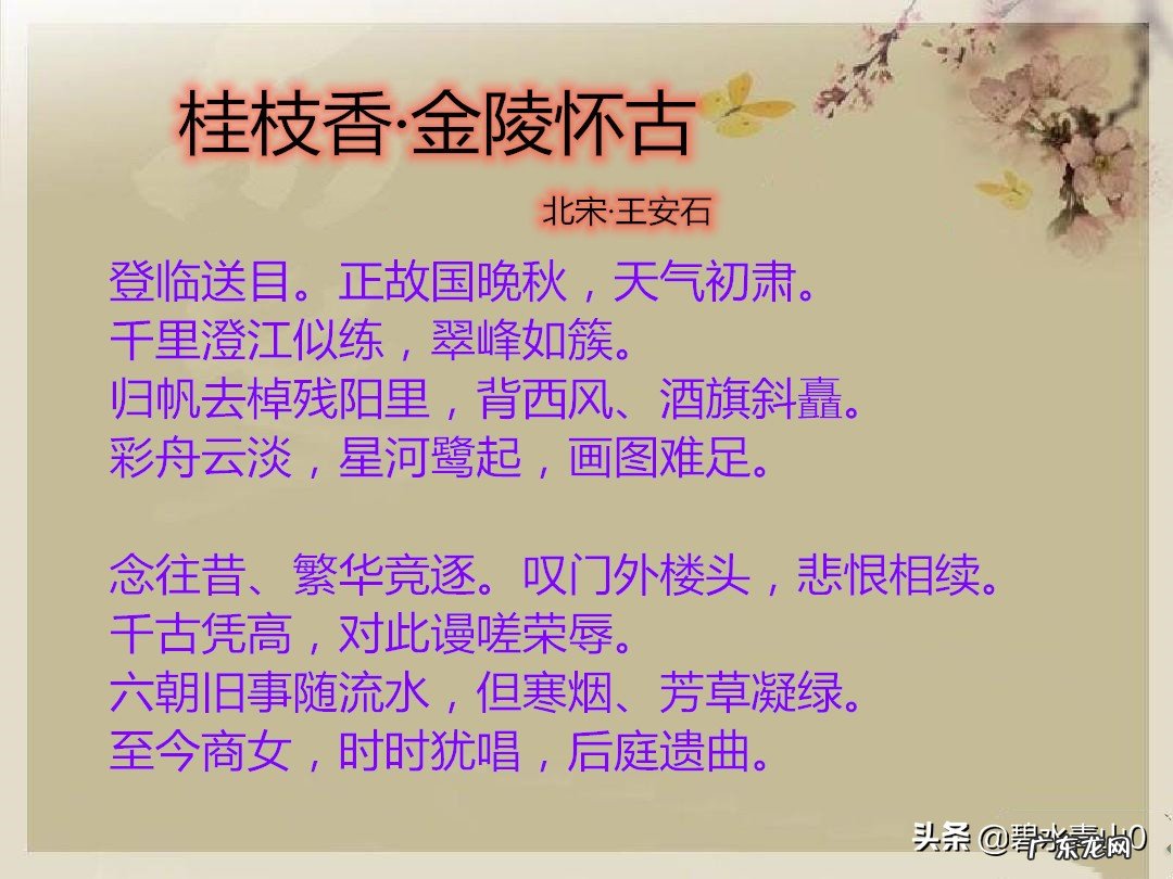 王安石笔下的《桂枝香》,为何评价极高?