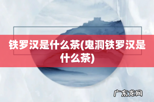 鬼洞铁罗汉是什么茶 铁罗汉是什么茶