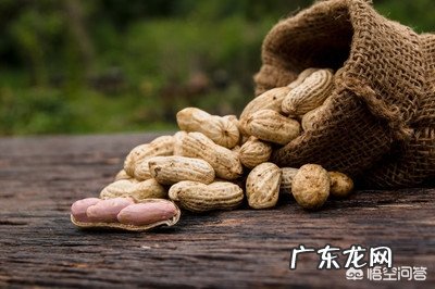 宝宝一岁了，可以吃些什么东西？