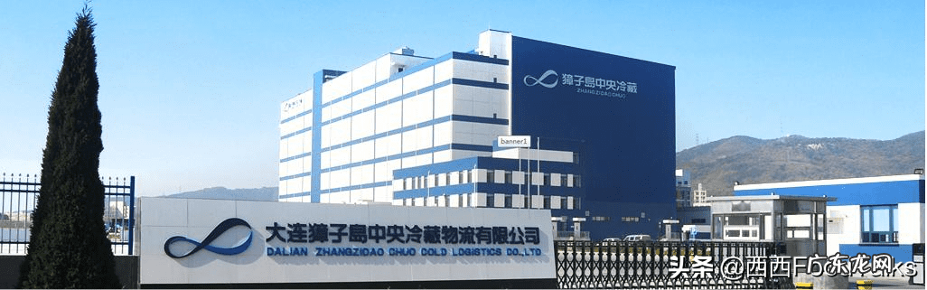 膳食纤维片怎么吃 康恩贝蛋白膳食纤维奶昔