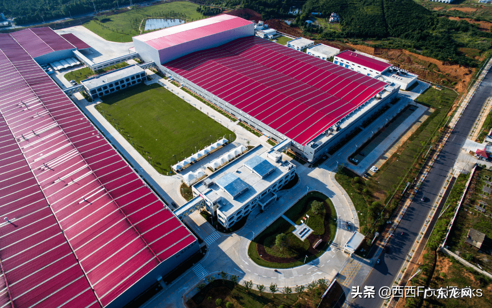 膳食纤维片怎么吃 康恩贝蛋白膳食纤维奶昔