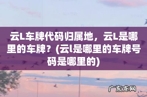 云l是哪里的车牌号码是哪里的 云L车牌代码归属地,云L是哪里的车牌?