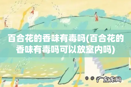 百合花的香味有毒吗可以放室内吗 百合花的香味有毒吗