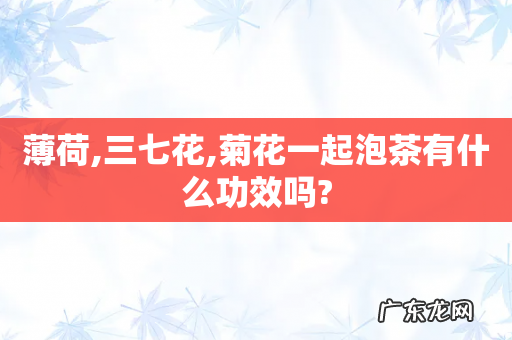 薄荷,三七花,菊花一起泡茶有什么功效吗?