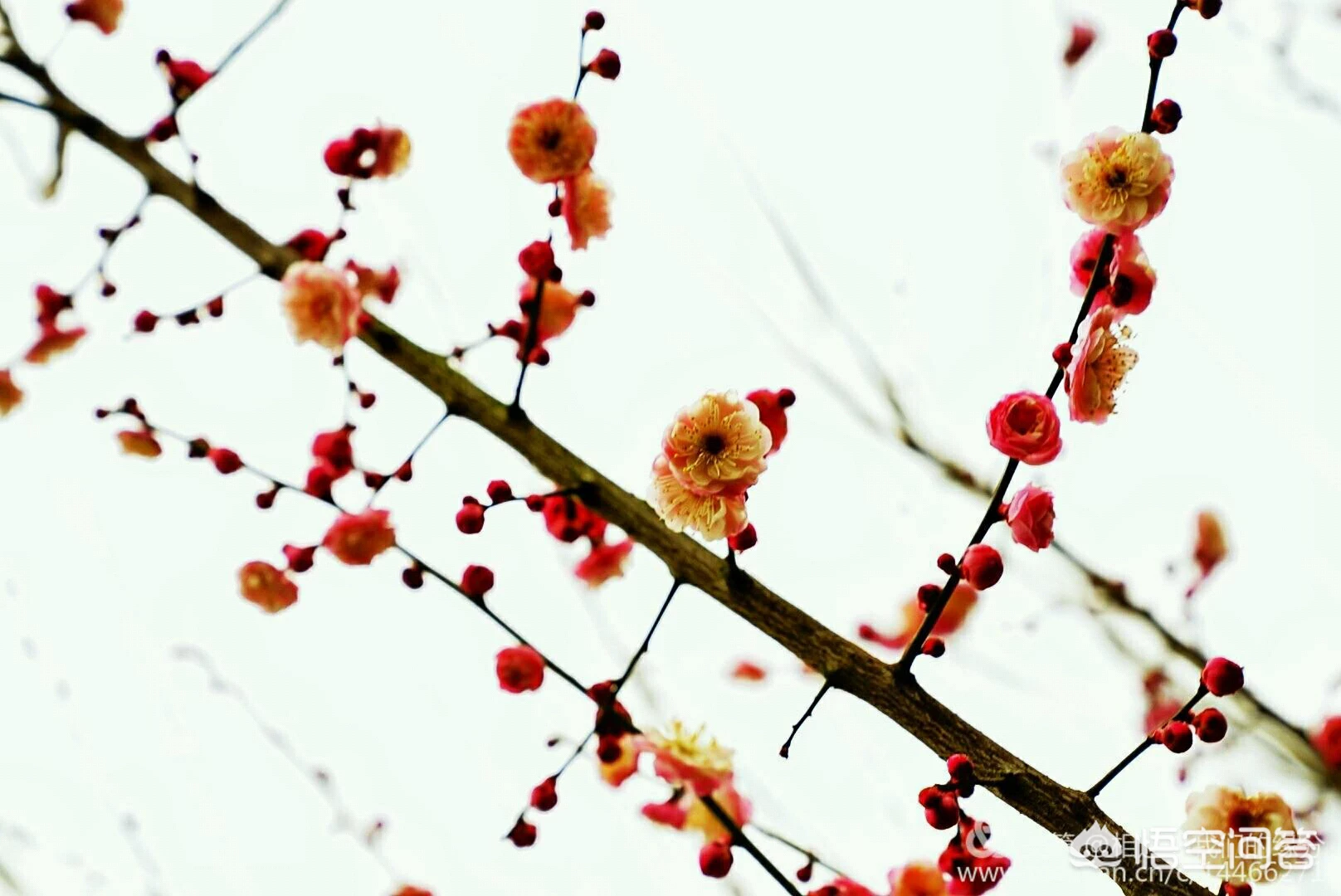 怎样做一个温暖的人?