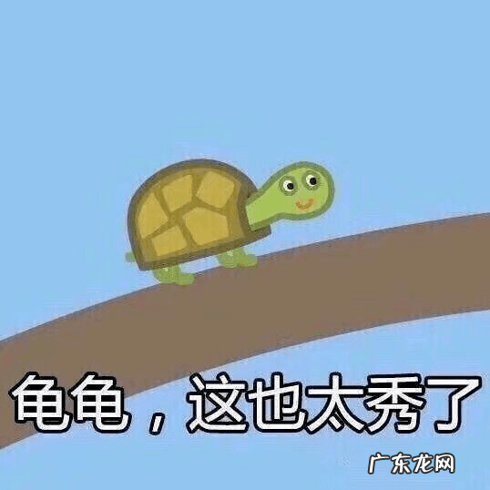 县政府后面的房子风水怎么样 住小区最前排风水好吗?