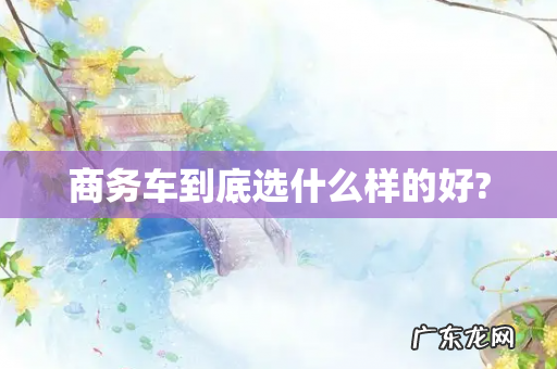 商务车到底选什么样的好?