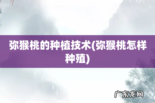 弥猴桃怎样种殖 弥猴桃的种植技术