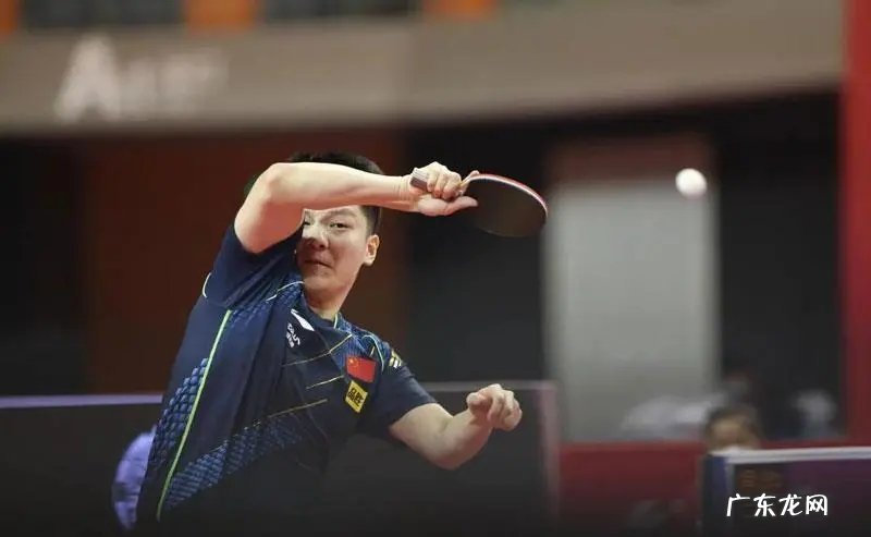 樊振东世乒赛先后战胜队友进入决赛,如果夺冠是不是含金量最高的?