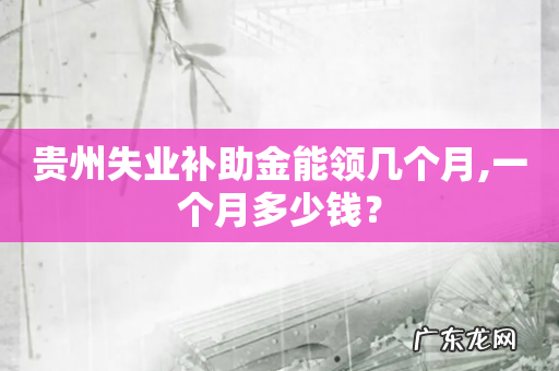 贵州失业补助金能领几个月,一个月多少钱?