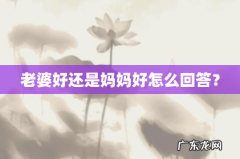 老婆好还是妈妈好怎么回答？