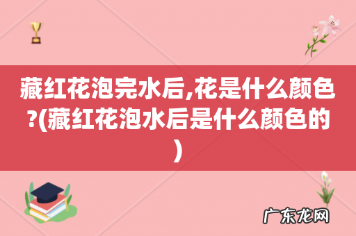 藏红花泡水后是什么颜色的 藏红花泡完水后,花是什么颜色?