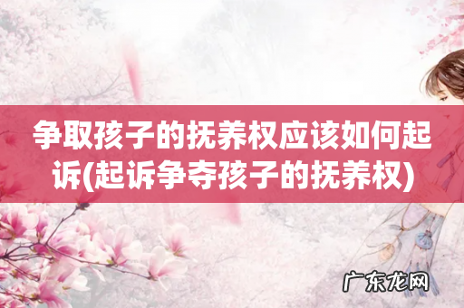 起诉争夺孩子的抚养权 争取孩子的抚养权应该如何起诉