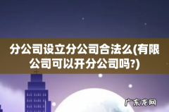 有限公司可以开分公司吗? 分公司设立分公司合法么
