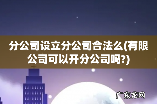 有限公司可以开分公司吗? 分公司设立分公司合法么