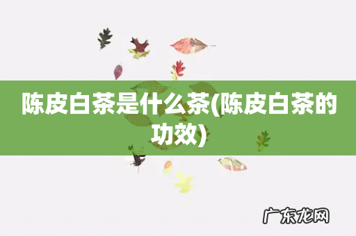 陈皮白茶的功效 陈皮白茶是什么茶