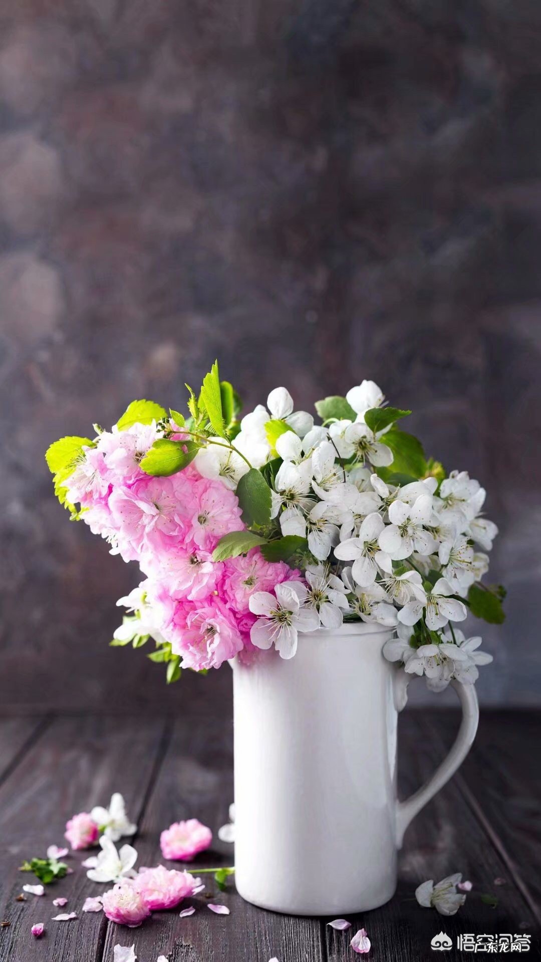 情人节到了,送老婆什么礼物比较好呢?