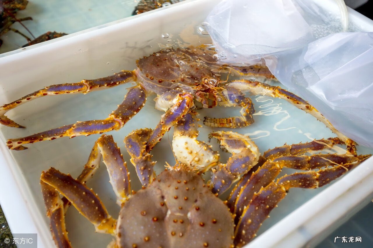 胆碱能性荨麻疹的危害 乙酰胆碱性荨麻疹是怎么引起的