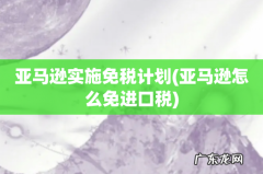 亚马逊怎么免进口税 亚马逊实施免税计划