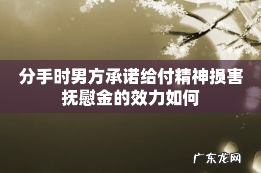 分手时男方承诺给付精神损害抚慰金的效力如何