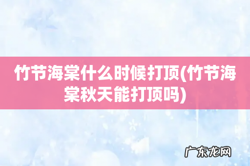 竹节海棠秋天能打顶吗 竹节海棠什么时候打顶