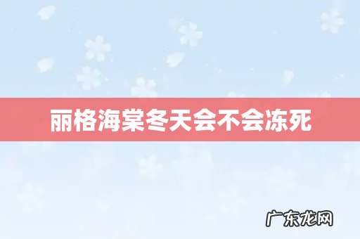 丽格海棠冬天会不会冻死