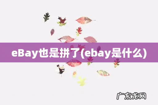 ebay是什么 eBay也是拼了