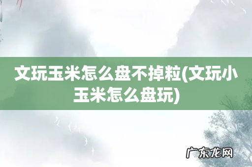 文玩小玉米怎么盘玩 文玩玉米怎么盘不掉粒