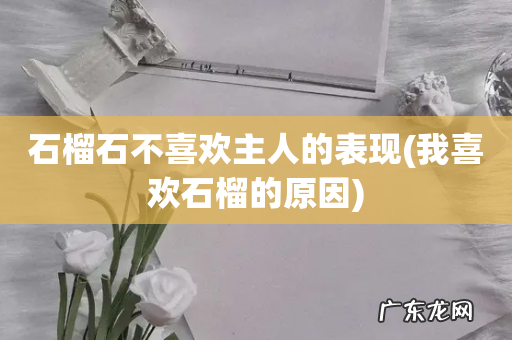 我喜欢石榴的原因 石榴石不喜欢主人的表现