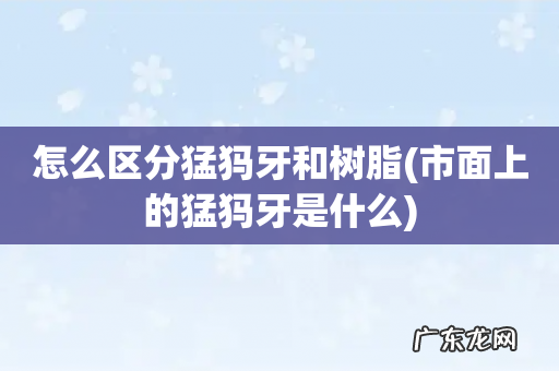 市面上的猛犸牙是什么 怎么区分猛犸牙和树脂