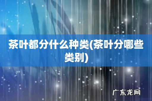 茶叶分哪些类别 茶叶都分什么种类