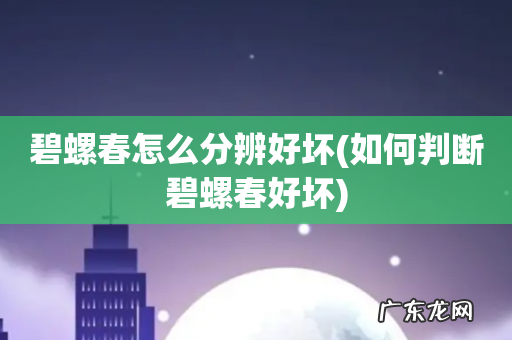 如何判断碧螺春好坏 碧螺春怎么分辨好坏