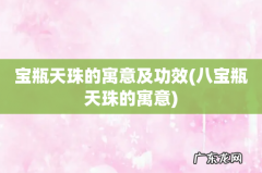 八宝瓶天珠的寓意 宝瓶天珠的寓意及功效