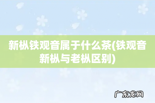 铁观音新枞与老枞区别 新枞铁观音属于什么茶