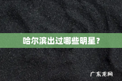 哈尔滨出过哪些明星？