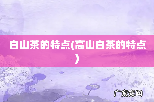 高山白茶的特点 白山茶的特点