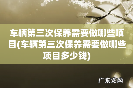 车辆第三次保养需要做哪些项目多少钱 车辆第三次保养需要做哪些项目