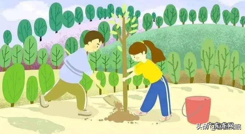 植树节的来历与意义?