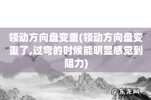 领动方向盘变重了,过弯的时候能明显感觉到阻力 领动方向盘变重