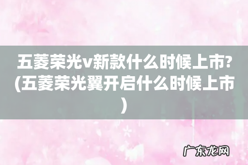 五菱荣光翼开启什么时候上市 五菱荣光v新款什么时候上市?
