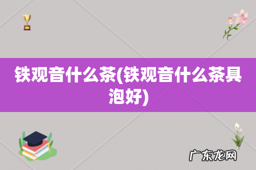 铁观音什么茶具泡好 铁观音什么茶