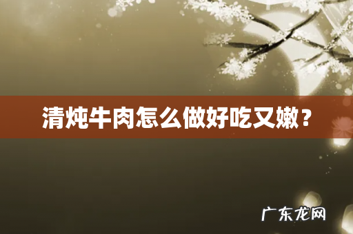 清炖牛肉怎么做好吃又嫩?