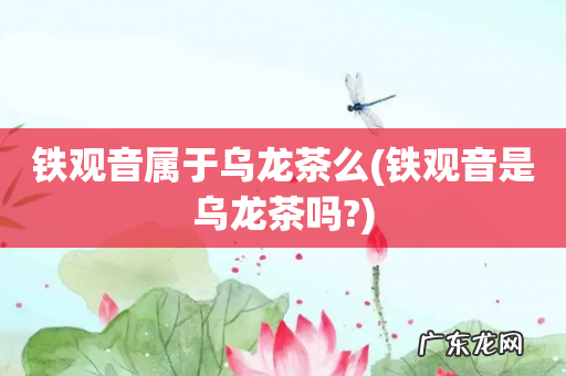 铁观音是乌龙茶吗? 铁观音属于乌龙茶么