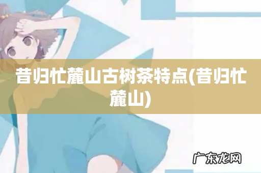 昔归忙麓山 昔归忙麓山古树茶特点