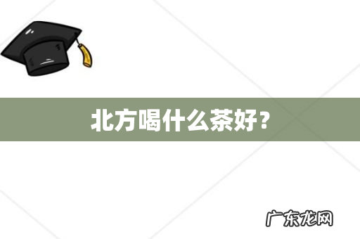 北方喝什么茶好?