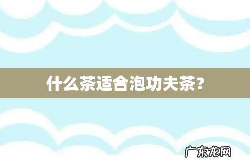 什么茶适合泡功夫茶?