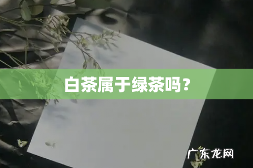 白茶属于绿茶吗?