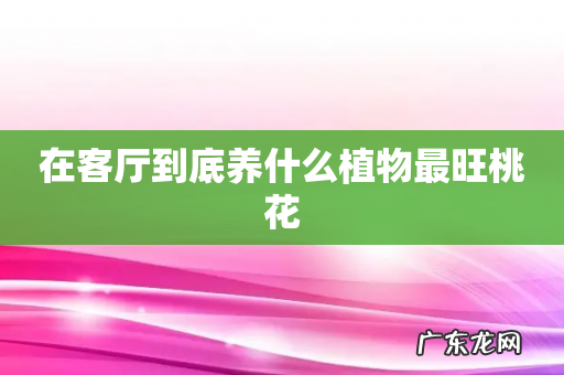 在客厅到底养什么植物最旺桃花